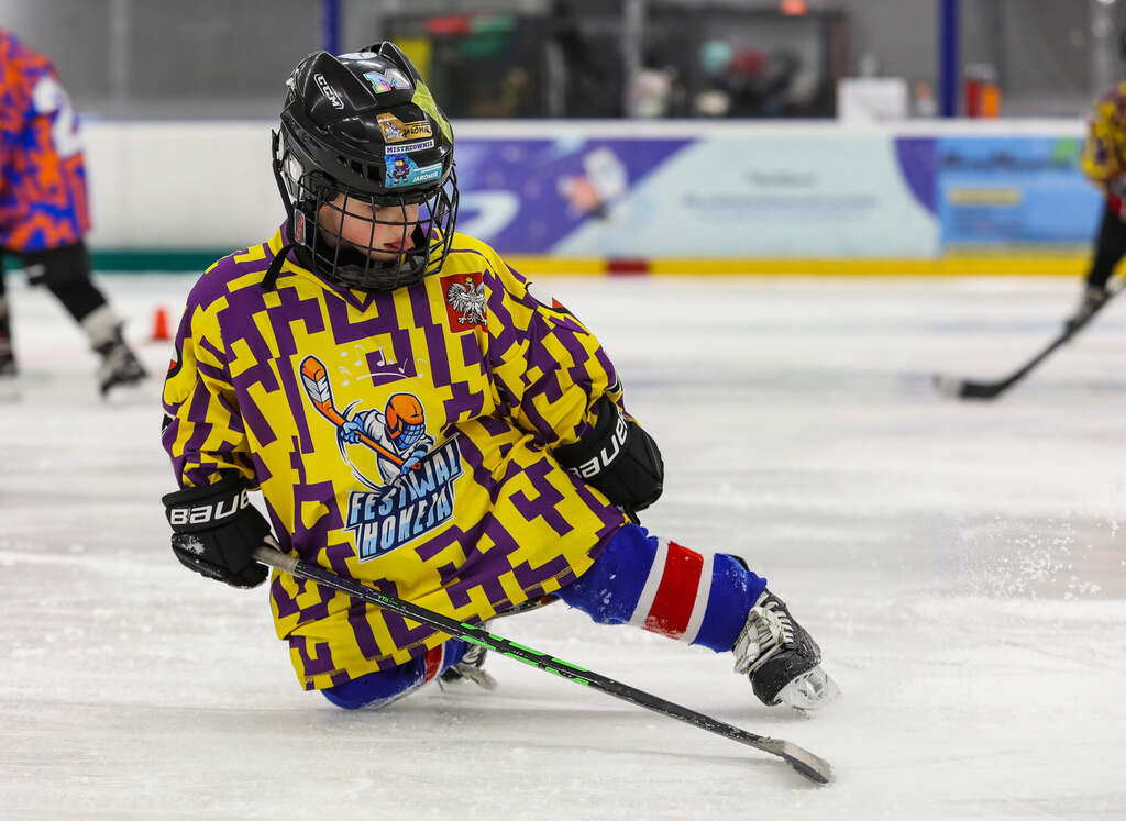 Image hover effect image